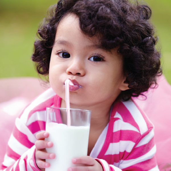 My Food Program New Milk Rules Blog